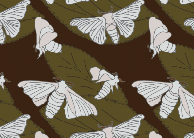 Silk Moths by Michael Sheridan Designs